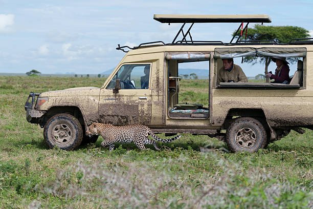 Lake Natron Waterfall Tour From Moshi: Complete Guide 2026-2027-2028