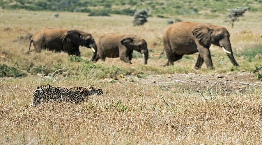 Arusha National Park Walking Safari – Book Guided Nature Walk Near Arusha