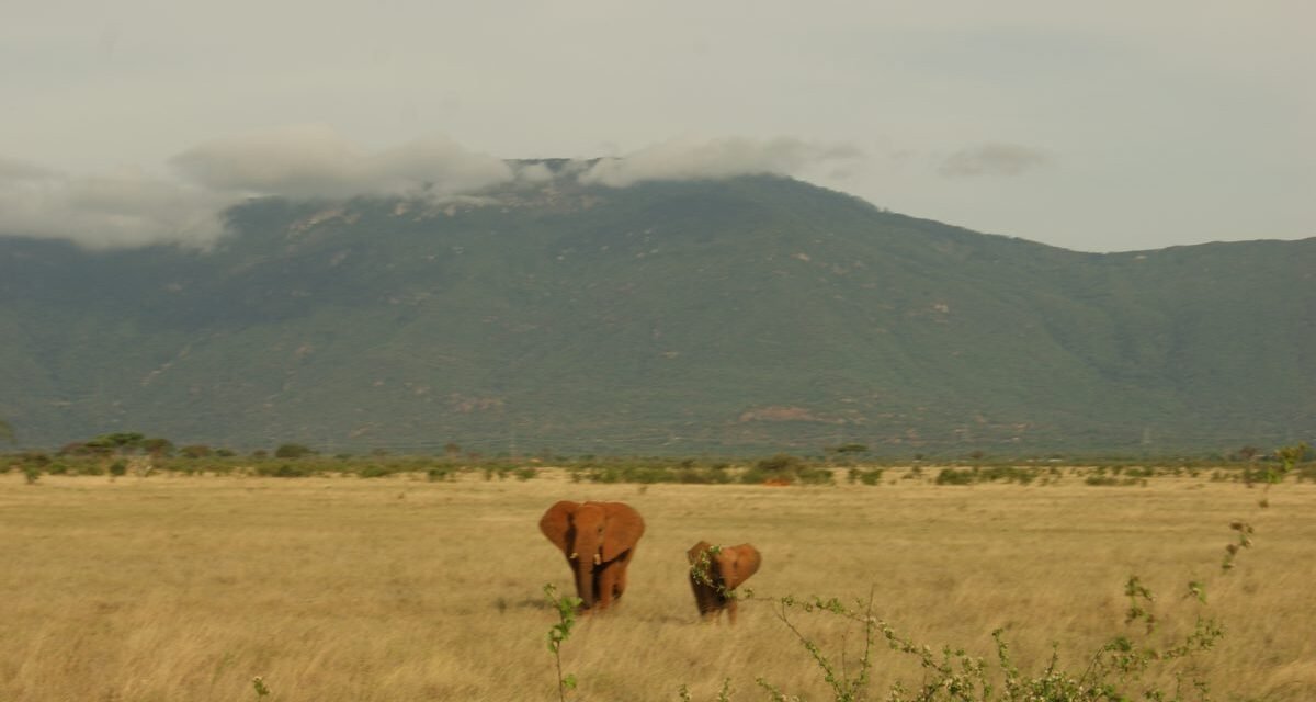 Kilimanjaro Family & Teen Summit Adventure – Private Multi-Generation Trek