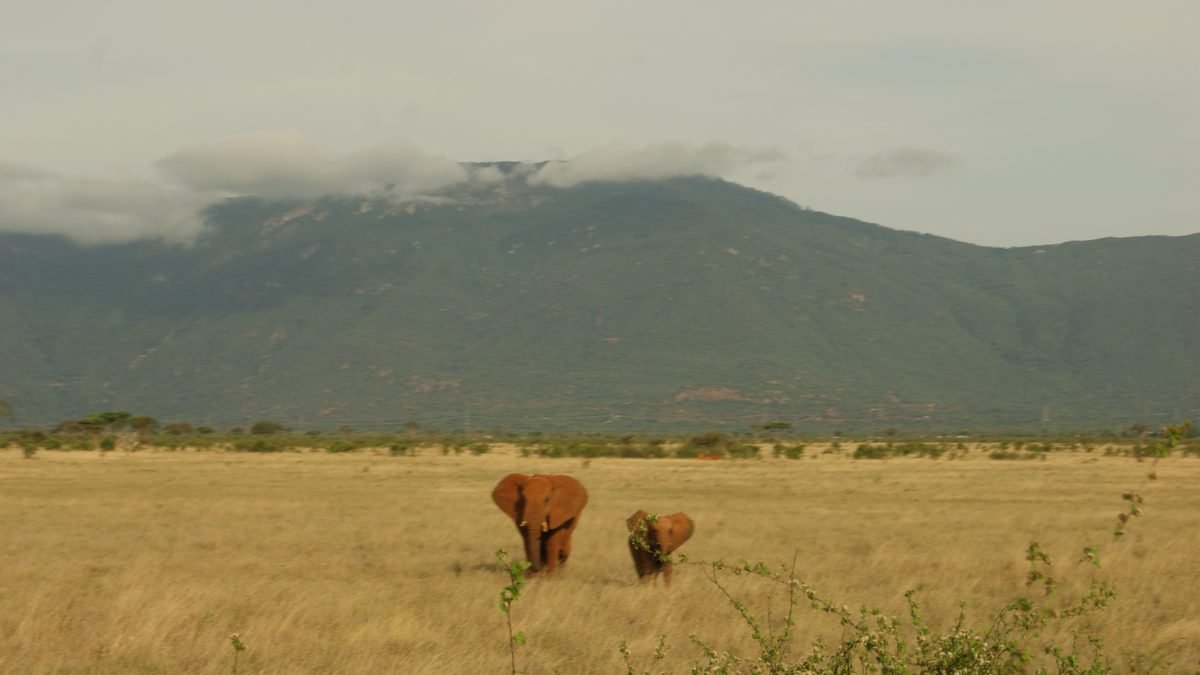 Marangu Caves, Chagga Culture & Waterfalls Tour: Uncover Hidden Kilimanjaro