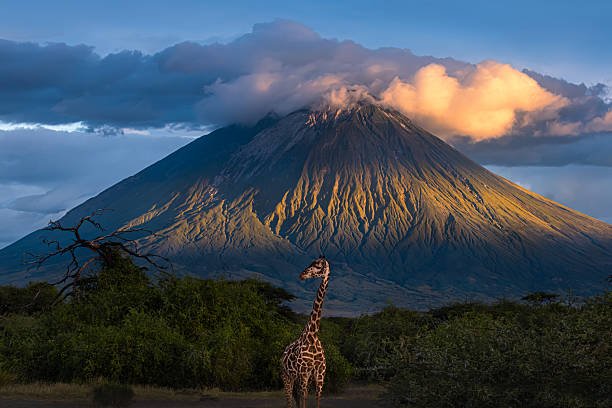 1 Day Lake Natron & Engare Sero Waterfalls From Arusha