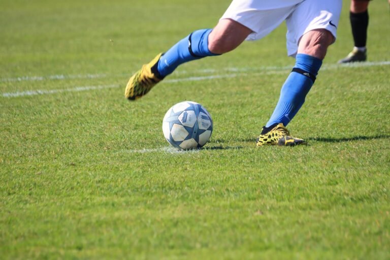 Dar es Salaam Football and Wildlife Safari Package