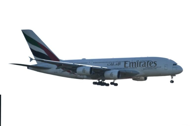 Arusha to Grumeti Airstrip Flights: Prices & Booking