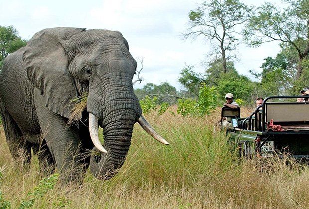 19-Days-Best-of-Southern-Tanzania-Safari