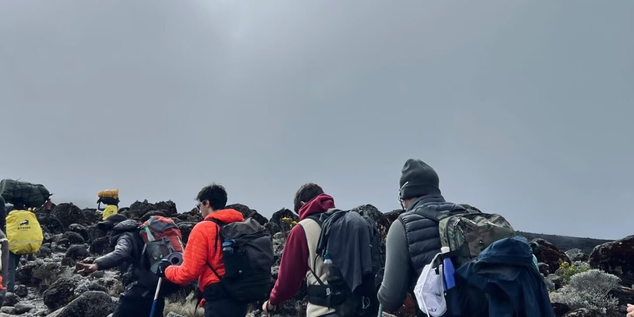 Kilimanjaro And Mount Meru Trekking Packages : Expert Guide 2027