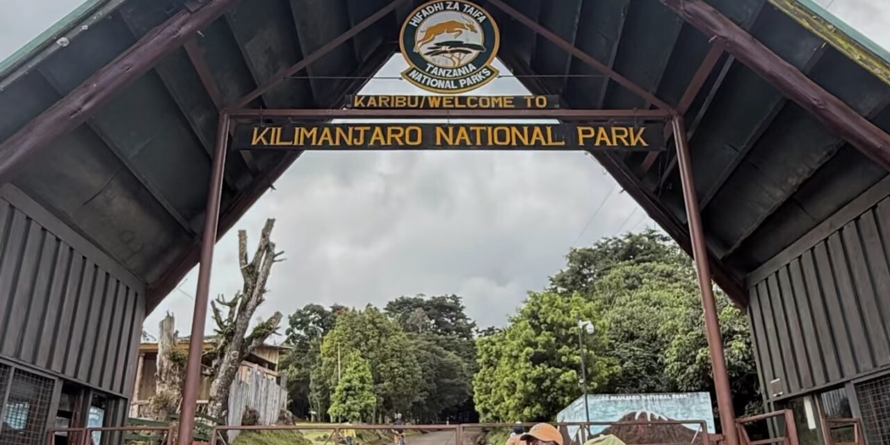 Kilimanjaro And Serengeti Calving Safari January 2026-2027