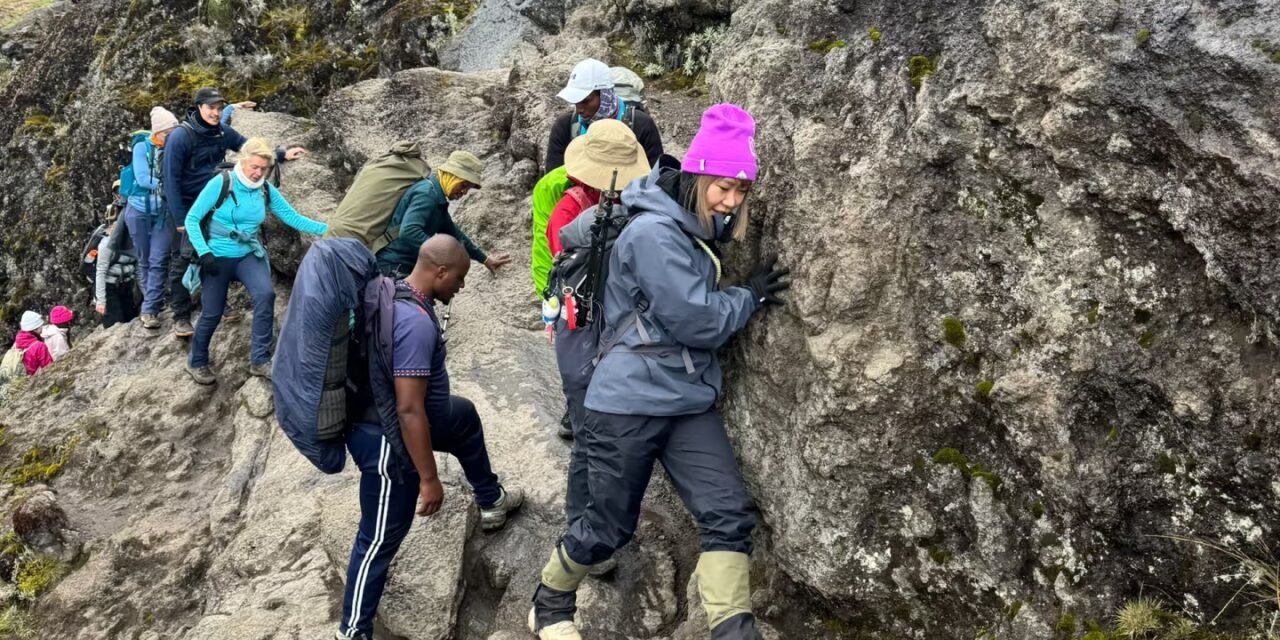 Kilimanjaro Early December : Quieter Climbs Before The Christmas Rush