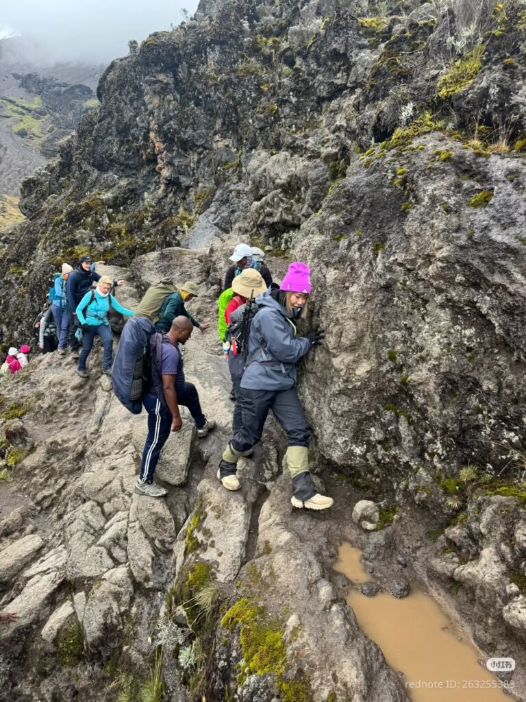 Kilimanjaro Early December 2026 – Quieter Climbs Before Christmas