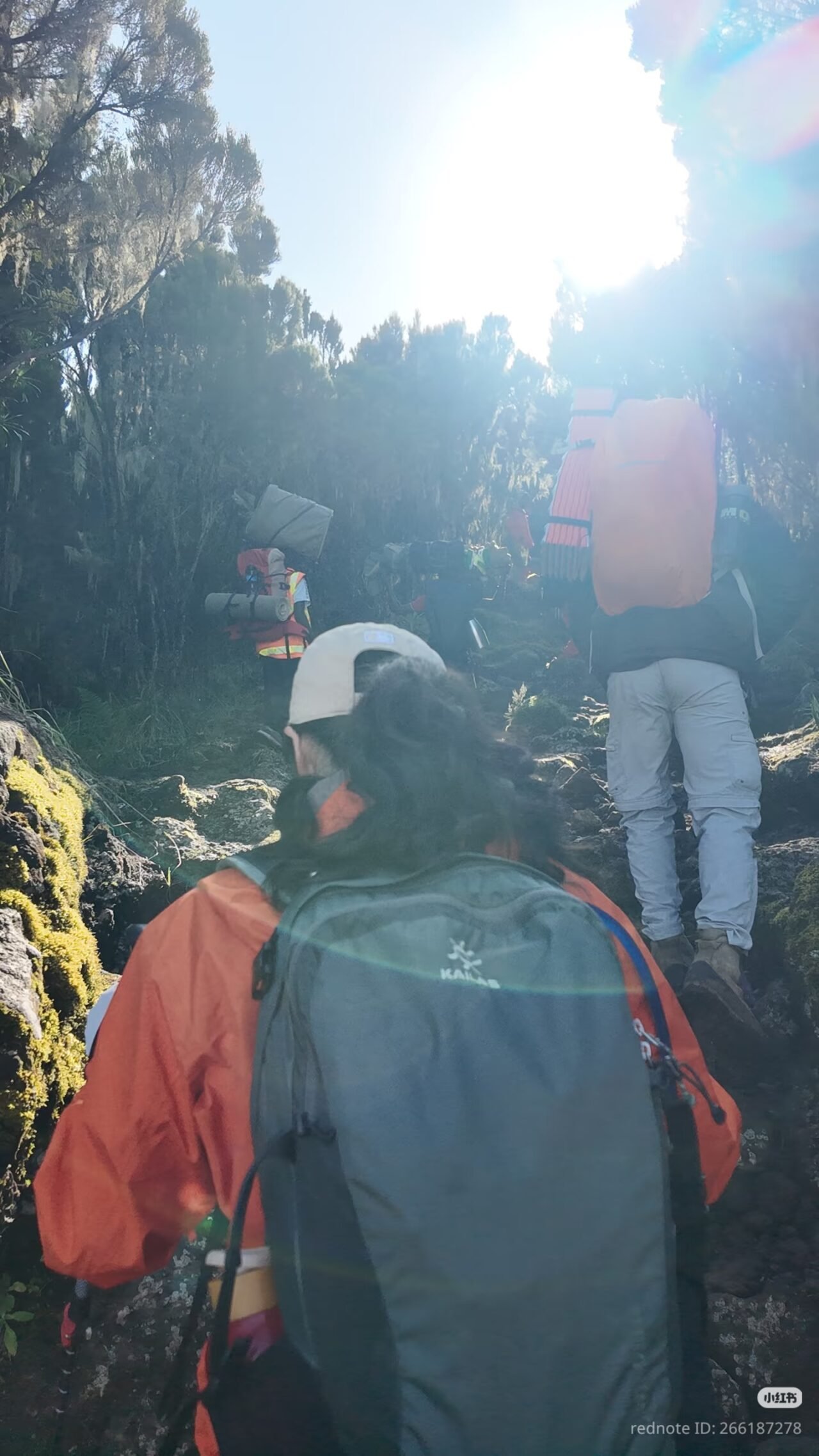 Kilimanjaro Early December : Quieter Climbs Before The Christmas Rush