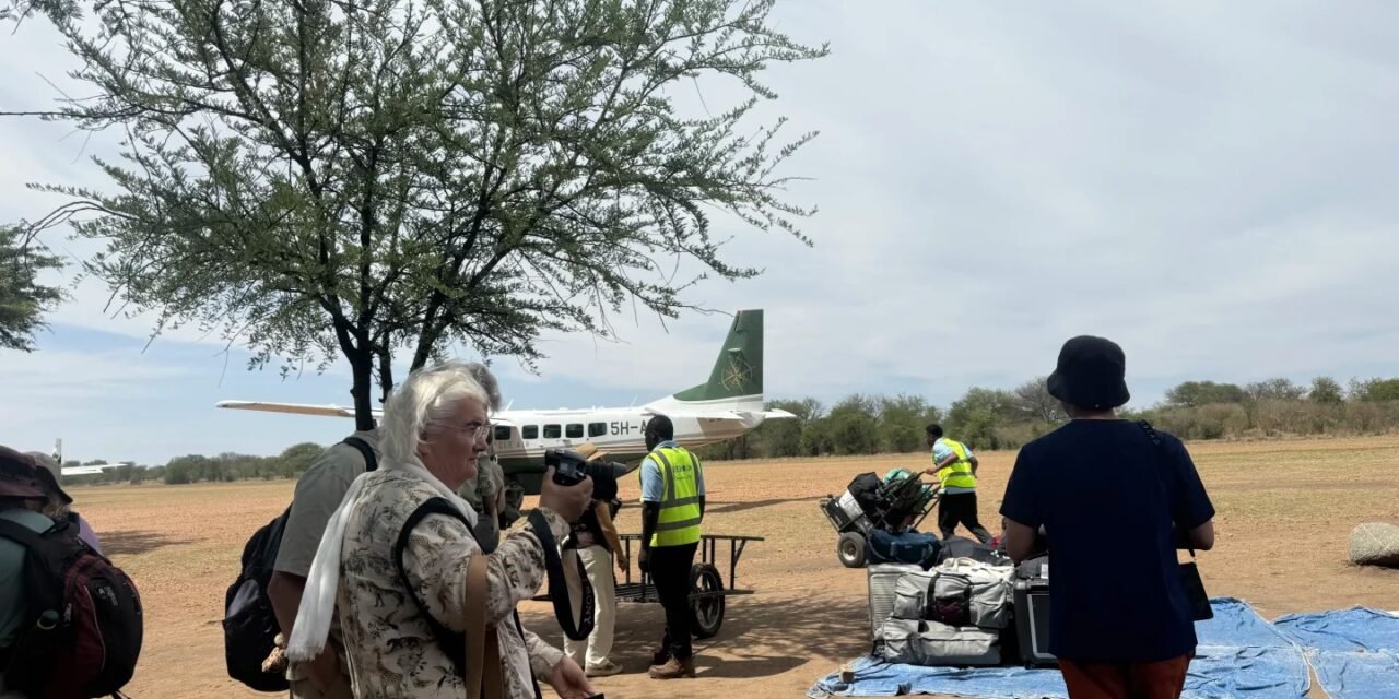 Arusha To Serengeti Direct Flights: Costs, Schedule, And Travel Planning Guide