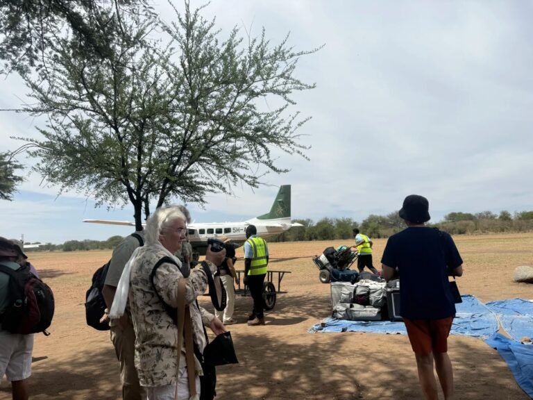 Arusha to Serengeti Direct Flights: Ticket Costs & Schedule
